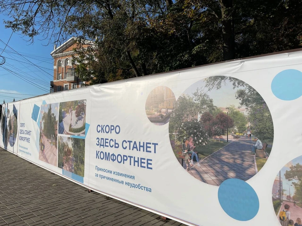 В сквере высадят кустарники и многолетние травянистые растения