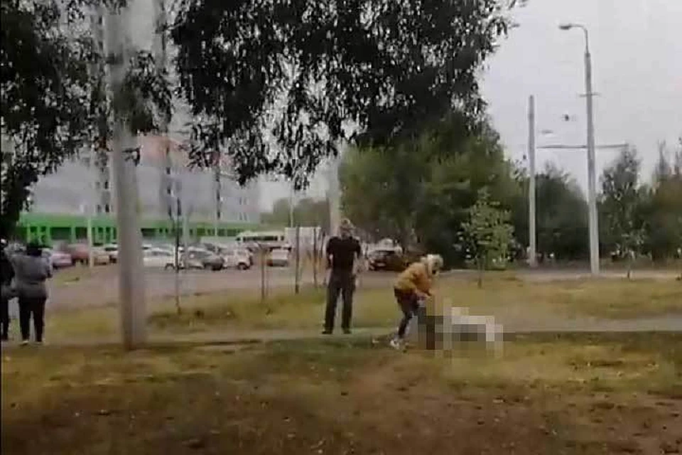 Фото: скриншот видео