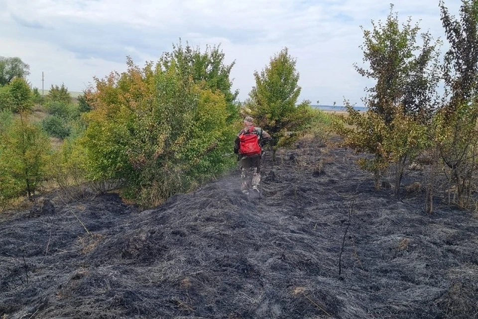 Огонь остановили на подступе к жилым домам
