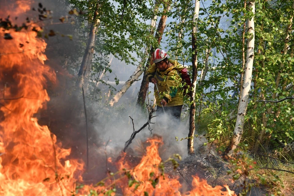 Путин поручил ежегодно выделять регионам еще по 8 миллиардов рублей на охрану лесов от пожаров