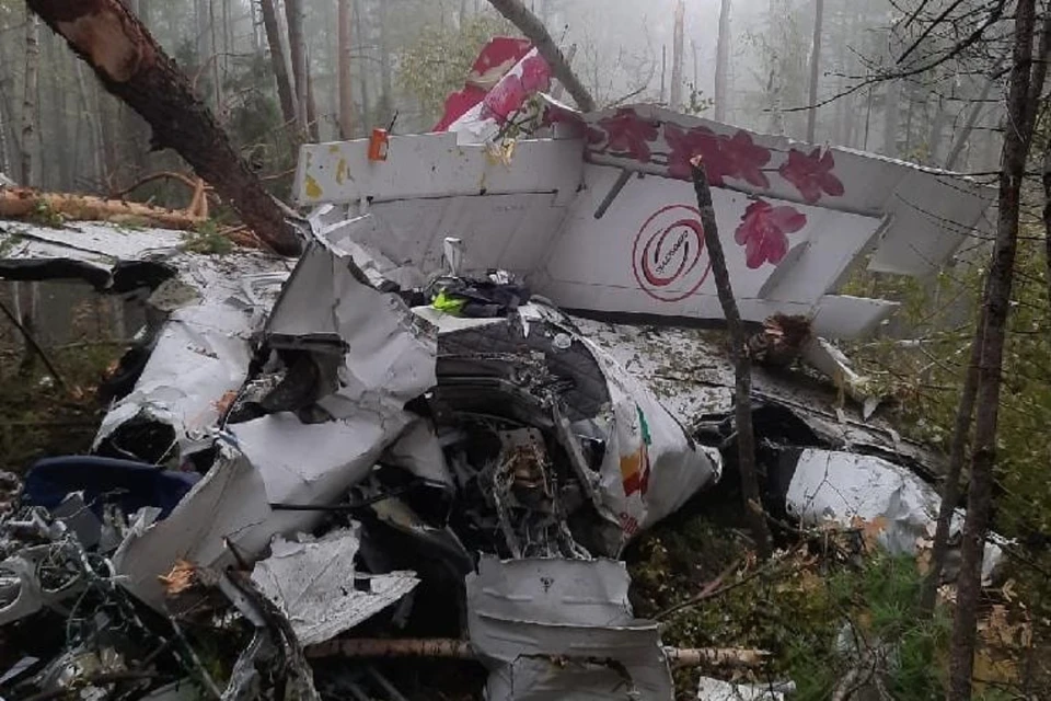 Как удалось выжить пассажирам L-410, рухнувшего в тайгу в Иркутской области, и почему не произошел пожар. Фото: Восточно-Сибирская транспортная прокуратура