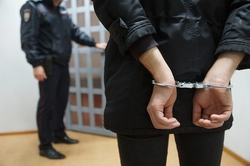 Представители ФСБ настаивали на заключение нарушителя под стражу