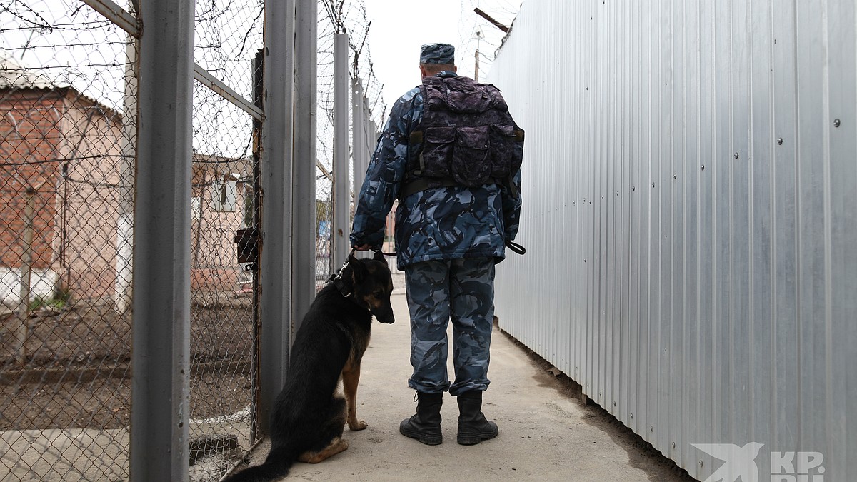 Рязанское УФСБ: Экс-сотрудник ИК-6 за взятку поощрял заключенных для УДО -  KP.RU