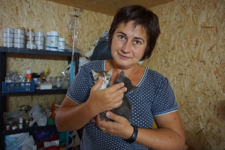 «У нас здесь 50 оттенков серого и еще столько же в полоску!»: Как выживает крупнейший кошачий приют в ДНР