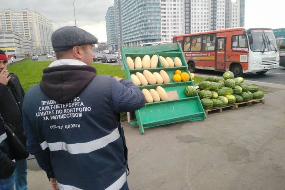 Несколько десяток незаконных точек по продаже арбузов закрыли в Петербурге / Фото: ККИ