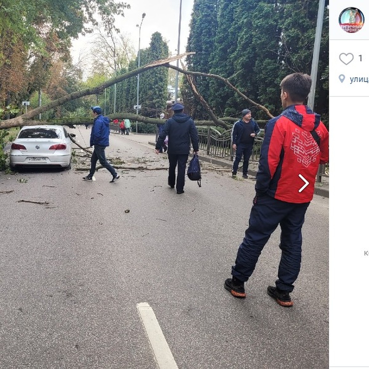 Упавшее на машину дерево парализовало движение на двух улицах Воронежа -  KP.RU