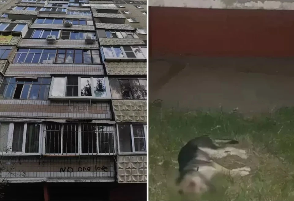 Фото: читательница КП-Челябинск