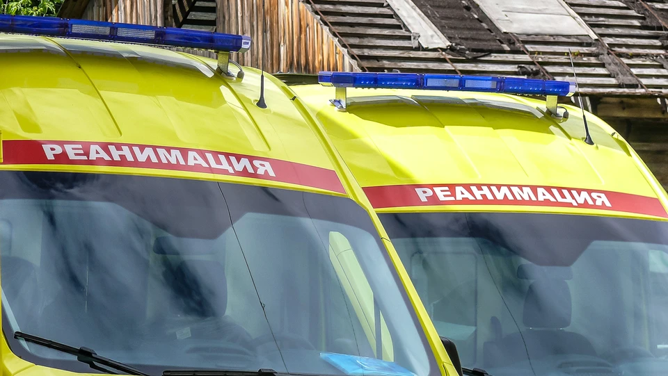 Обновлена официальная статистика.
