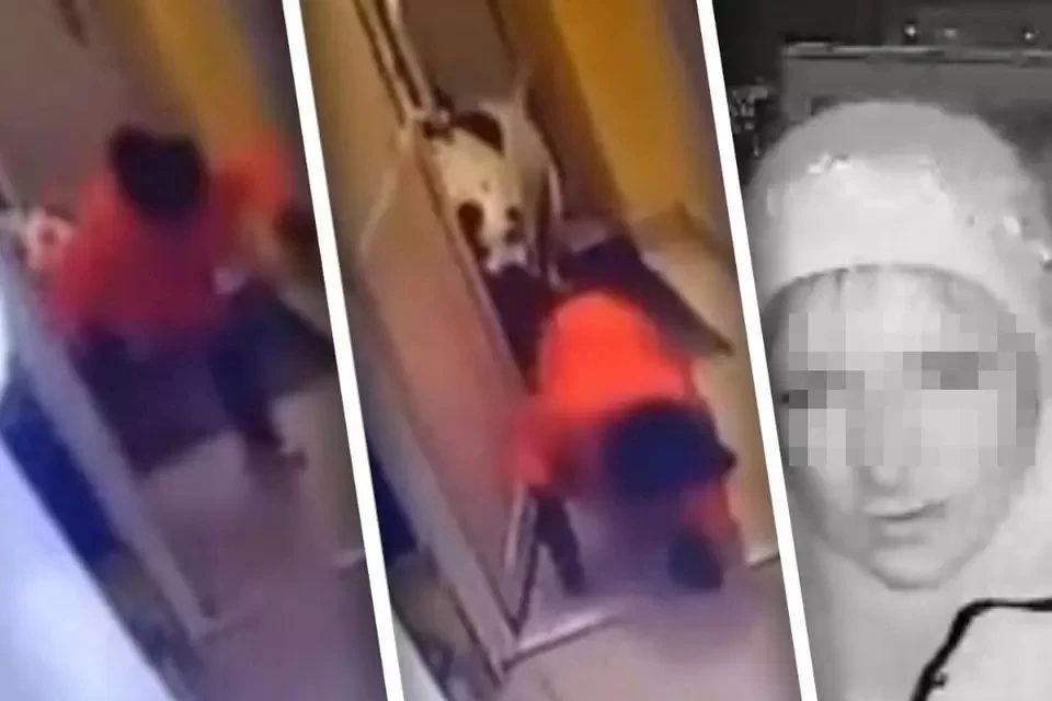 Питбуль напал на мальчика со щенком в подъезде дома. Фото: кадр из видео