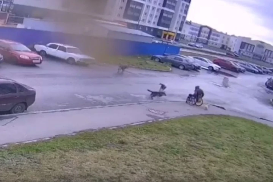 Инцидент произошел на проспекте Ливанова в Заволжском районе города. Фото: скриншот из видео