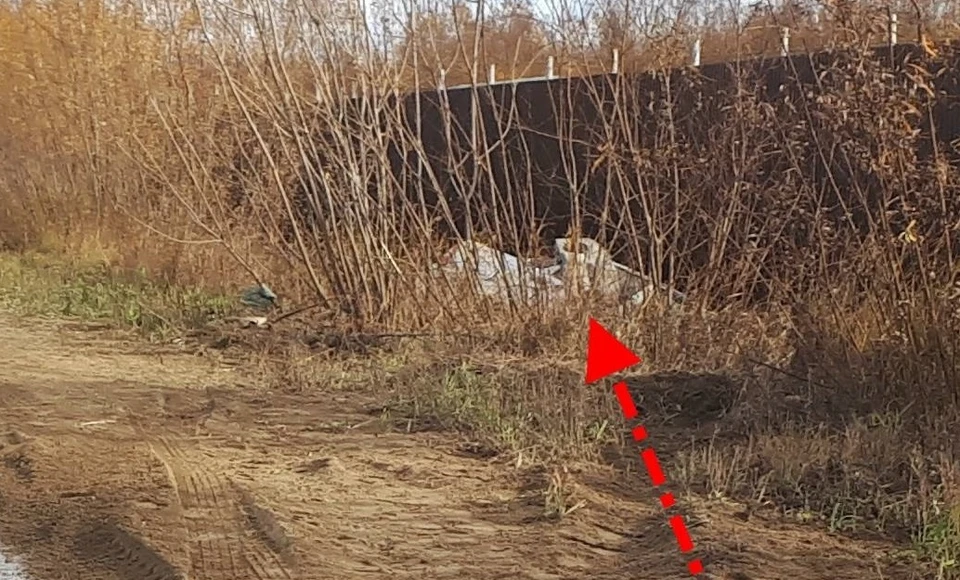 Фото: управление ГИБДД по Коми