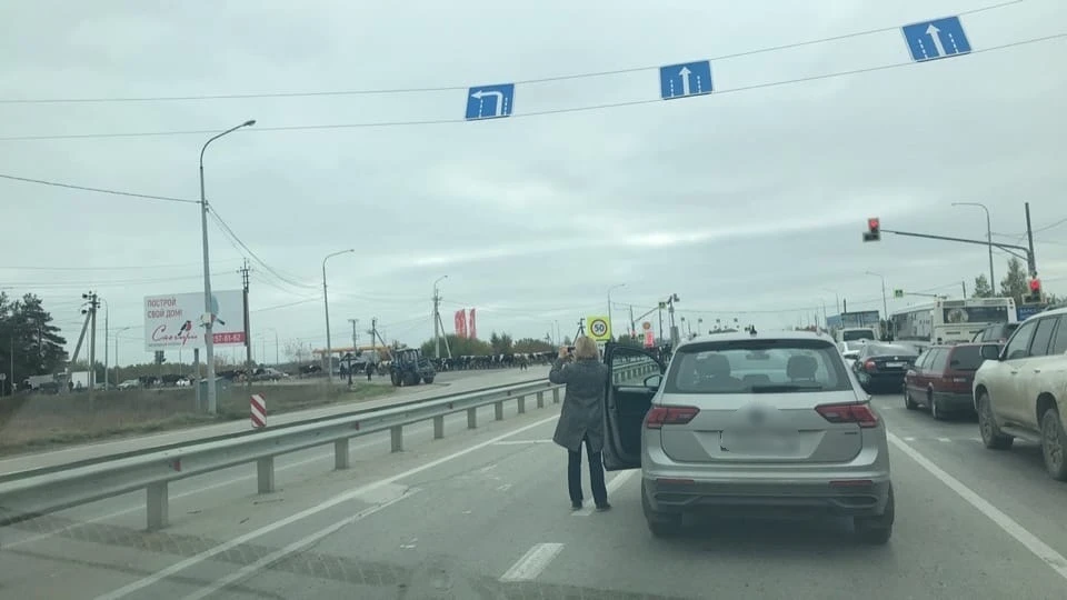 Огромное стадо коров перекрыло автомагистраль под Рязанью. Фото: Подслушано у водителей в Рязани | Александр Филимонов.