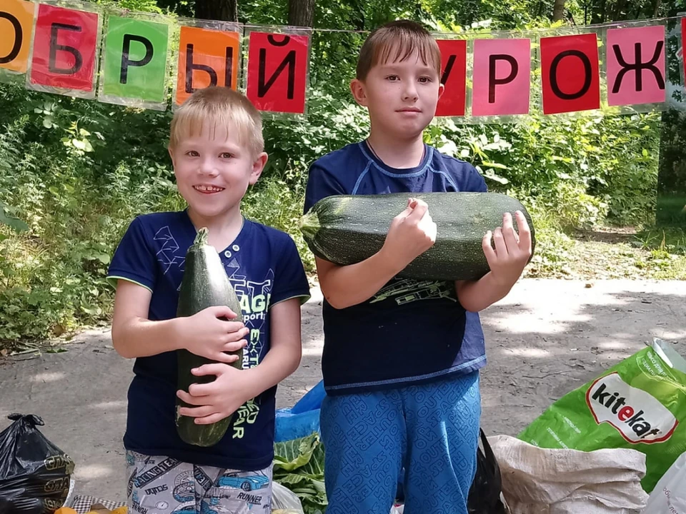 Для животных зоосада «Приамурский» в Хабаровске собрали 8,5 тонн фруктов и овощей