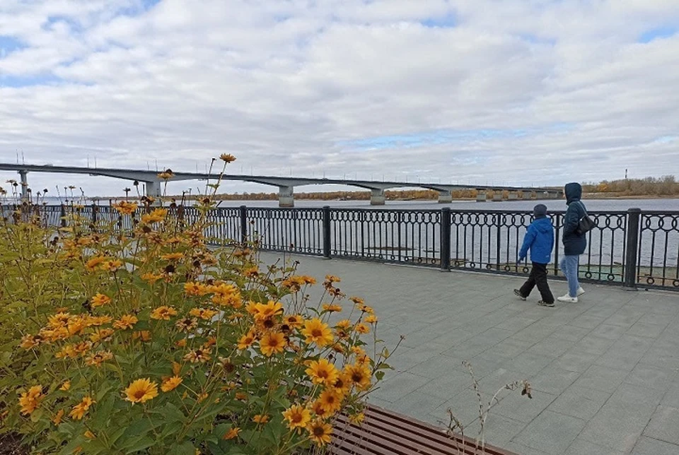 В Прикамье на неделе потеплеет до +15 градусов.