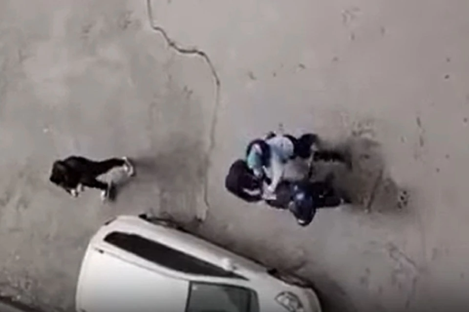 Видео со стрельбой на Горском жилмассиве в Новосибирске появилось в соцсетях. Фото: стоп-кадр.