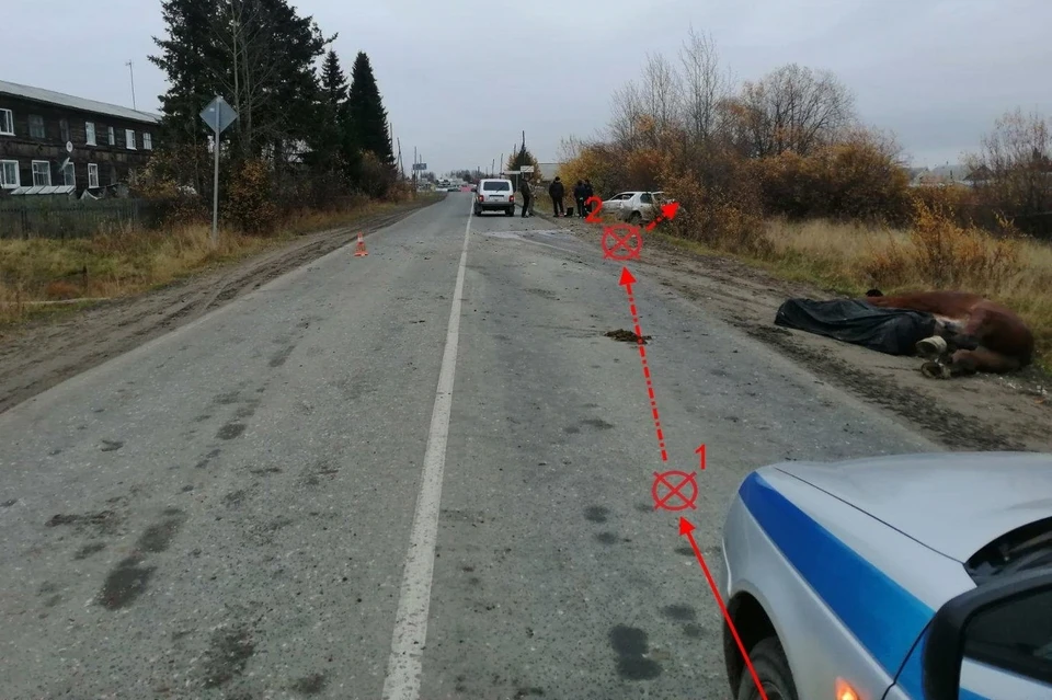 Фото: управление ГИБДД по Коми