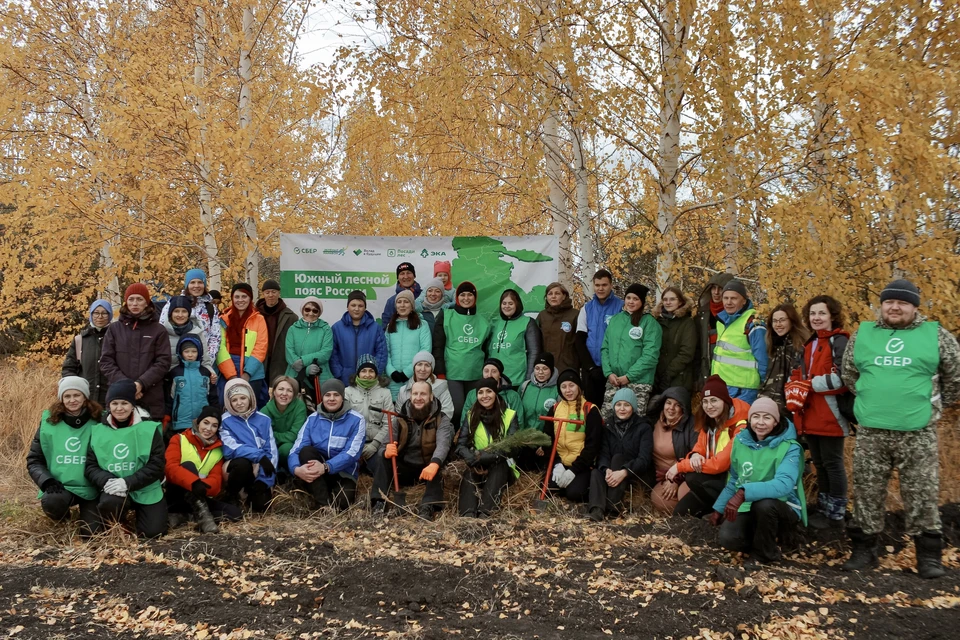 Волонтеры Сбера высадили 10000 сосен в Бердюжском районе. Фото - Сбер.