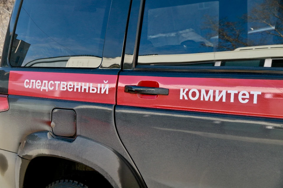 Возбуждено уголовное дело