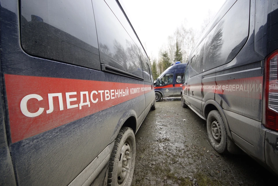 Половина преступников не имеет постоянной работы, а пять с половиной процента и вовсе являются безработными.