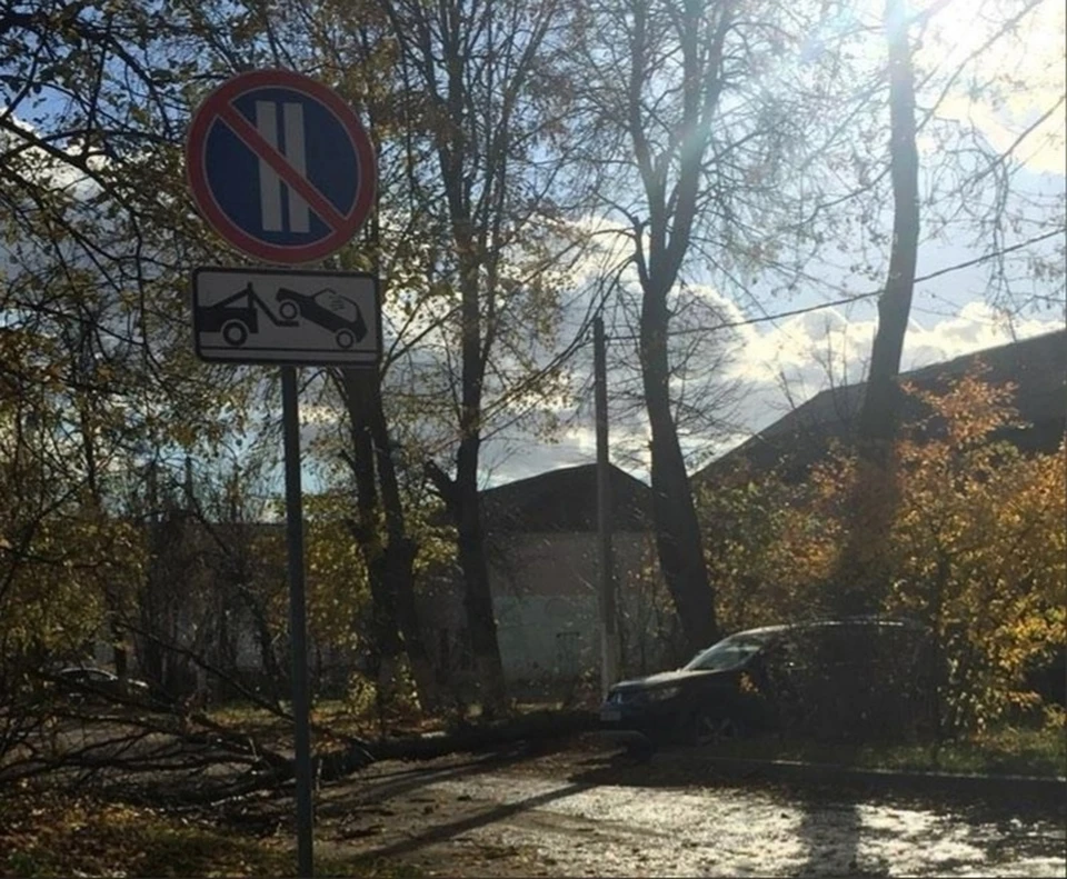 Ранее МЧС предупреждало жителей области об опасности усиления ветра