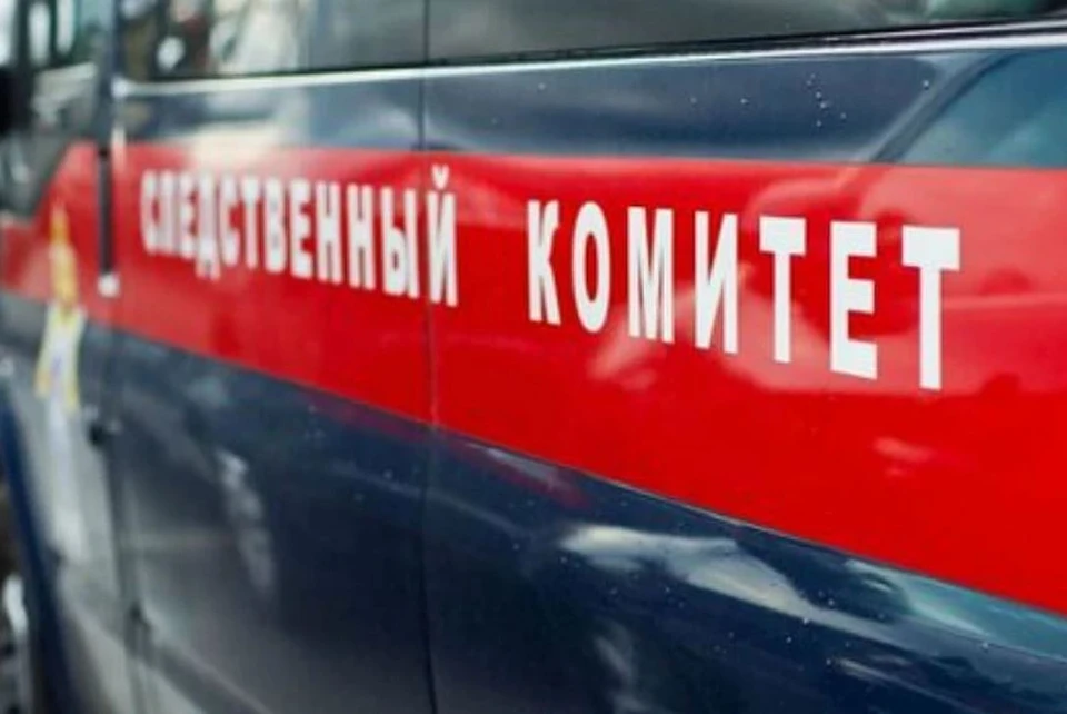 Тело младенца найдено в Еврейской автономной области