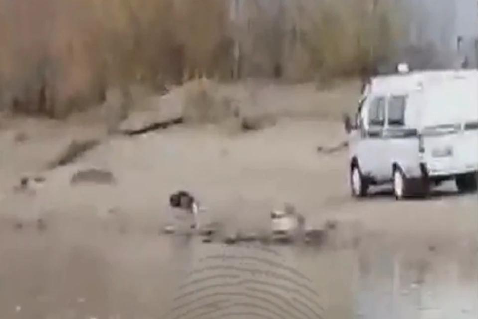 В Новосибирске на Бугринском пляже нашли труп. Фото: "Инцидент Новосибирск".