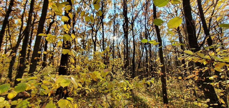 В Белгородскую область пришло похолодание. фото: Артем Гребеник.