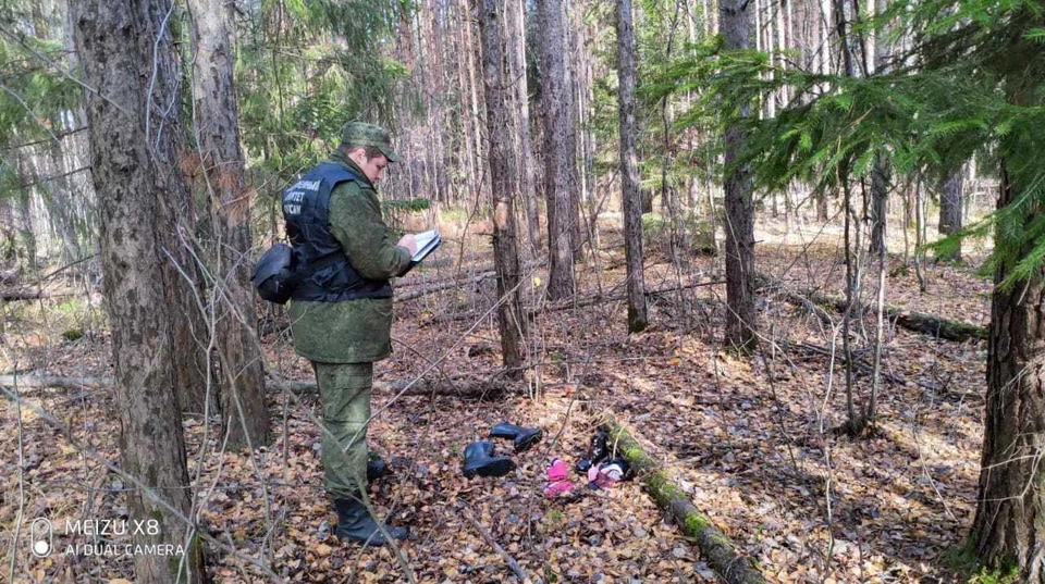Фото предоставлено СК РФ по Владимирской области.