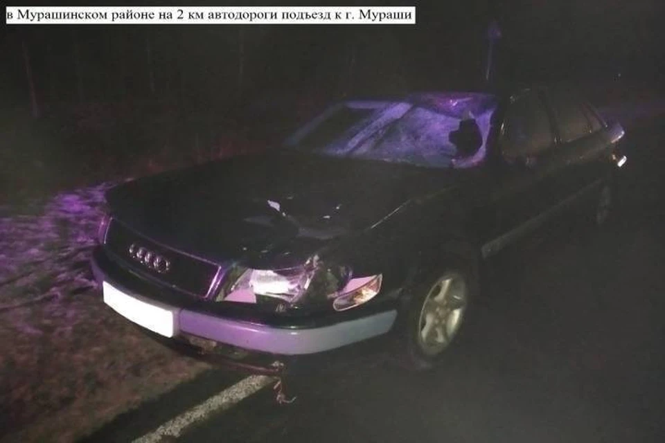 Водитель иномарки мог не заметить пешехода из-за темного времени суток. Фото: vk.com/gibdd43