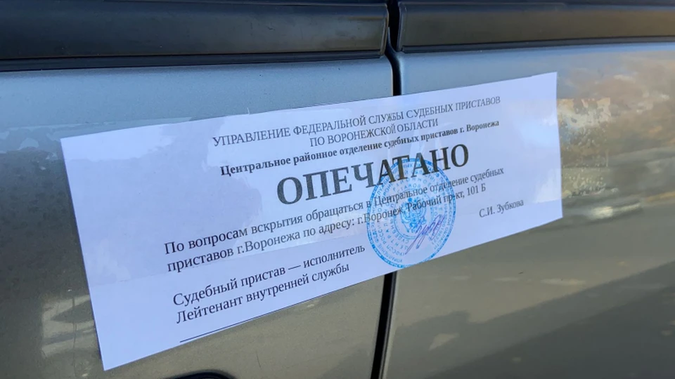 В варанаре паймон нашла рисунок