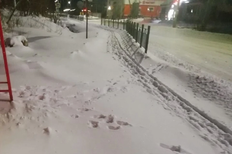Фото: паблик "Подслушано в Салехарде".