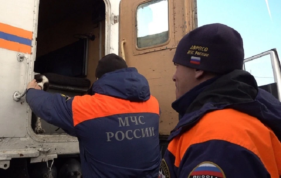 Поисковые работы продолжились 1 ноября Фото: ГУ МЧС России по Хабаровскому краю