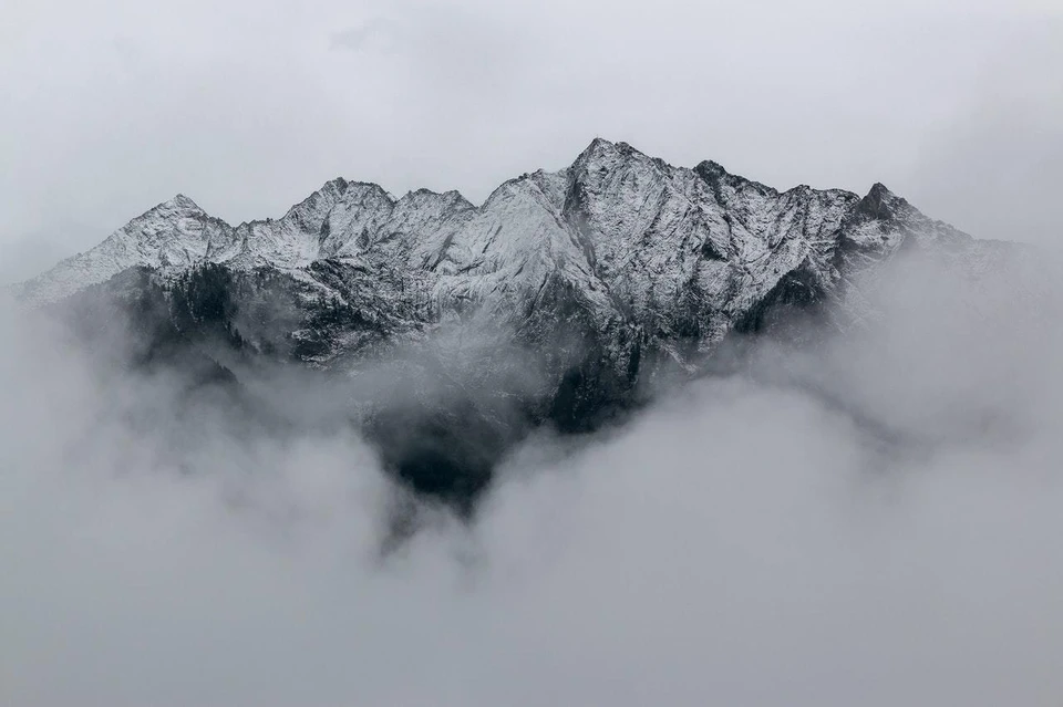 Фото: pexels.com