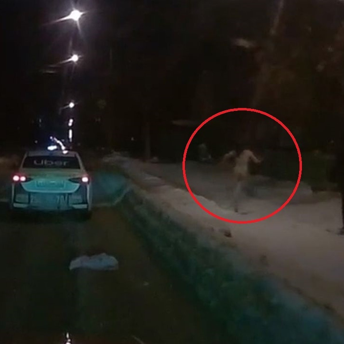 Резко потеплело?»: в Новосибирске голая женщина бегала по улице - KP.RU