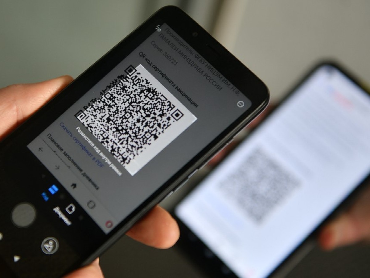 Как жители Крыма обходят систему QR-кодов - KP.RU