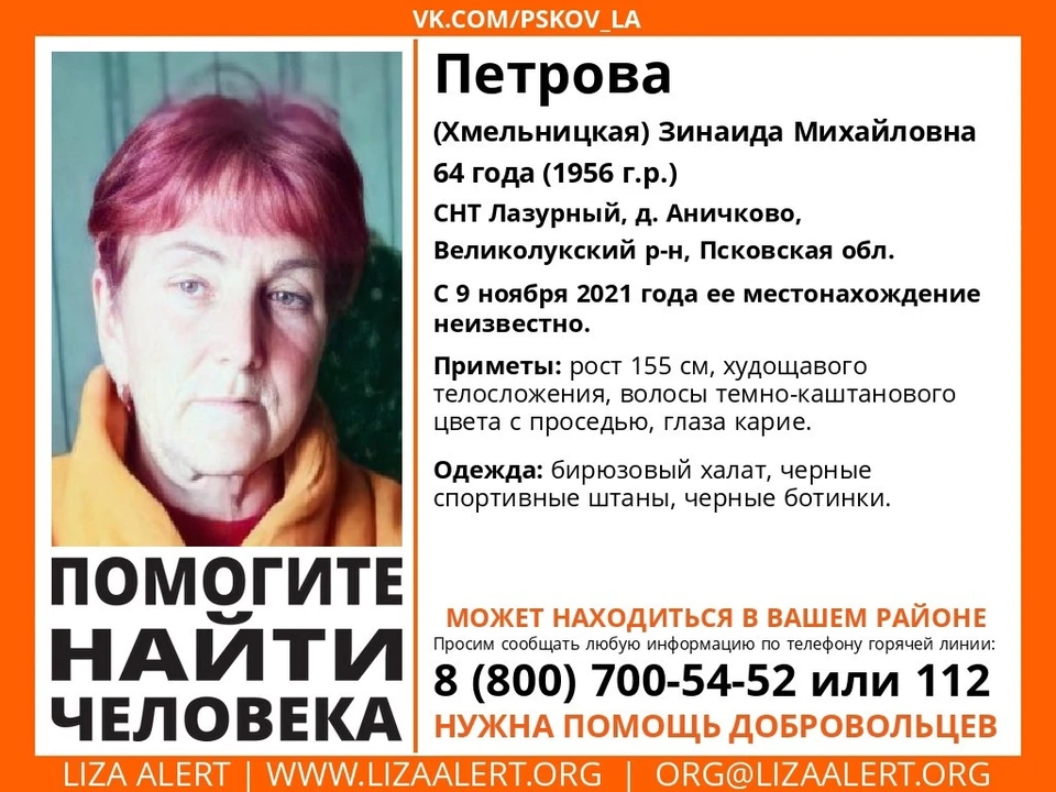 Фото: группа поискового отряда «ЛизаАлерт»
