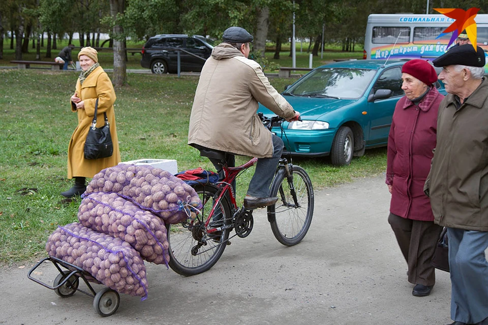 Дозакупиться овощами на зиму можно будет до 5 декабря.