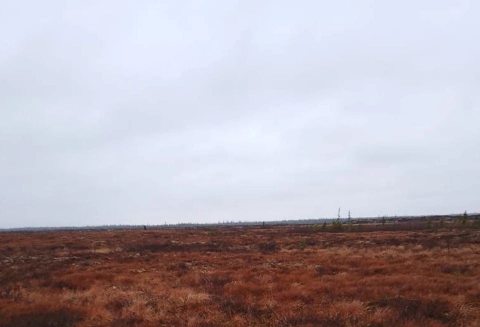 В Югре ночью в отдельных районах изморозь.