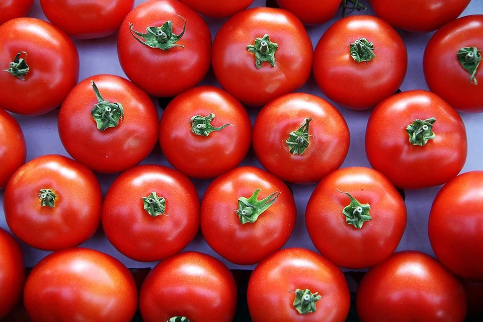 Российские власти не допустят дефицита продуктов в стране, заявил министр сельского хозяйства Патрушев.