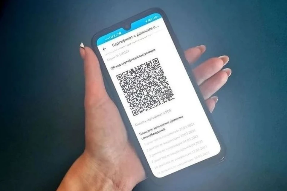 QR-код