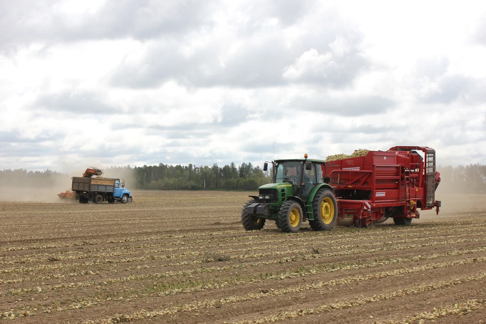Затраты на производство зерна впервые компенсируют сельхозтоваропроизводителям Иркутской области