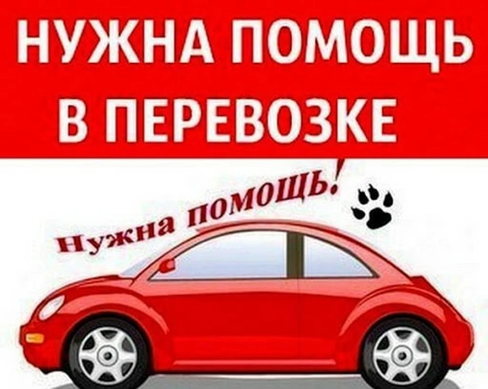 Фото со страницы сообщества "Центр охраны животных "Наша природа" в ВК
