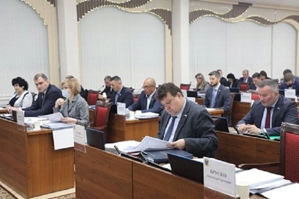 Законопроект поддержали десять представителей фракции ЛДПР