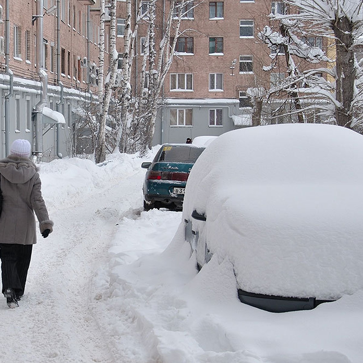 Последние новости Ижевска на утро 22 ноября 2021 года: снегопад, пропавшая  из детдома, Загитова и убитый кот - KP.RU