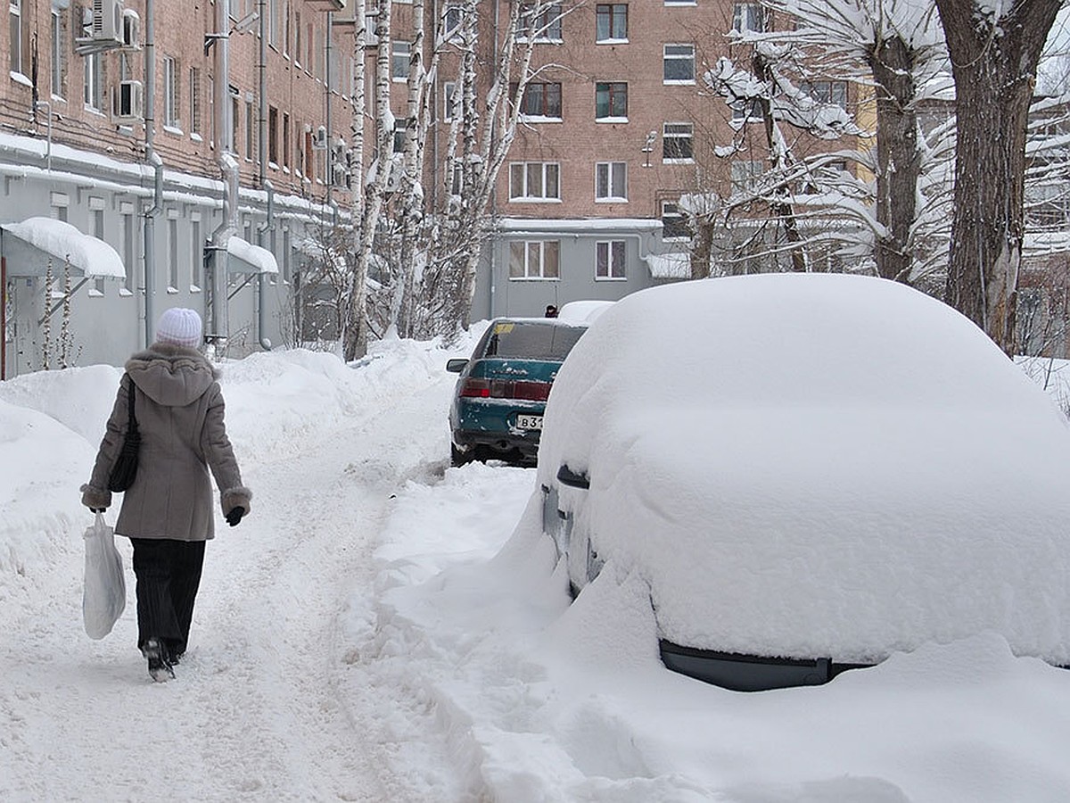 Последние новости Ижевска на утро 22 ноября 2021 года: снегопад, пропавшая  из детдома, Загитова и убитый кот - KP.RU