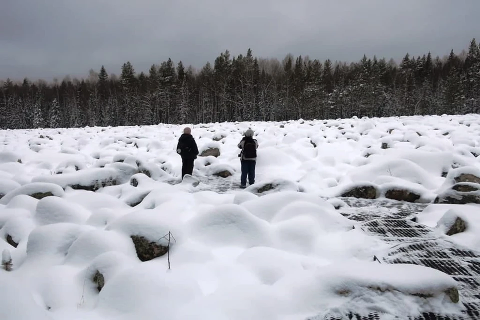 Каменная река после снегопада превратилась в поле причудливых сугробов. Фото: нацпарк "Таганай"