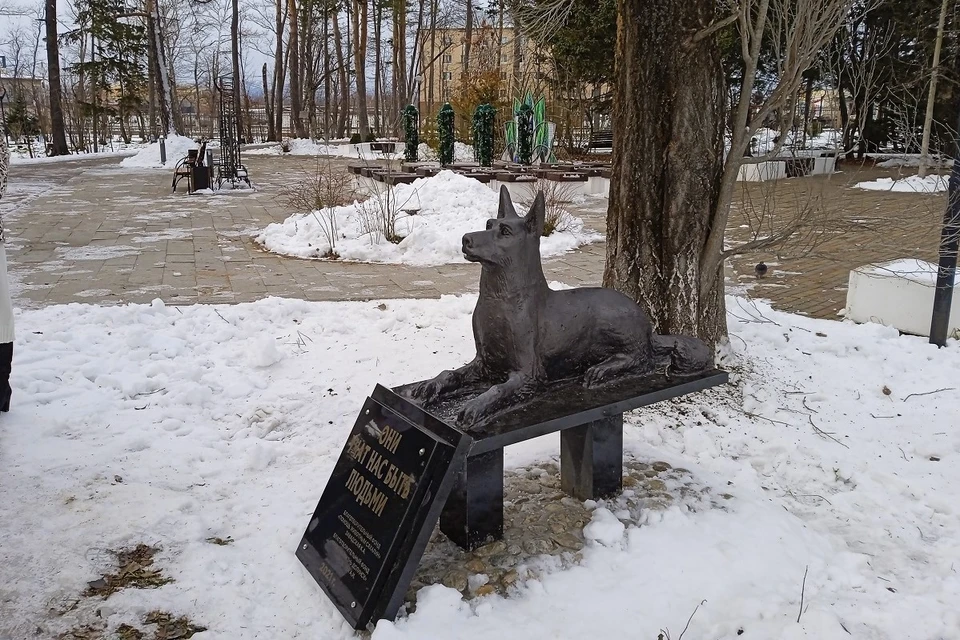 Прообразом для скульптуры стал местный пёс по кличке Босс, любимец детей и взрослых