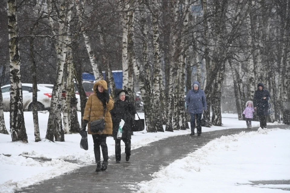 Тепло, но ветрено будет в эту пятницу в Томске.