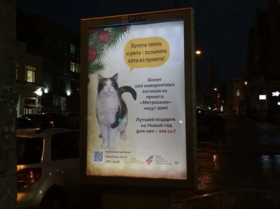 Фото: соцсети