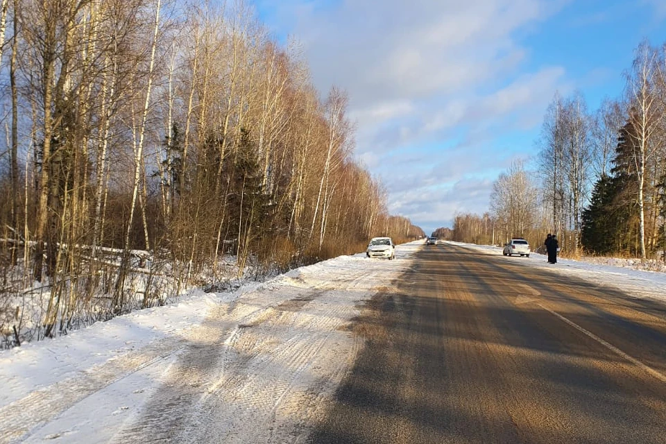Женщина пострадала в аварии. Фото: УГИБДД по Тверской области.